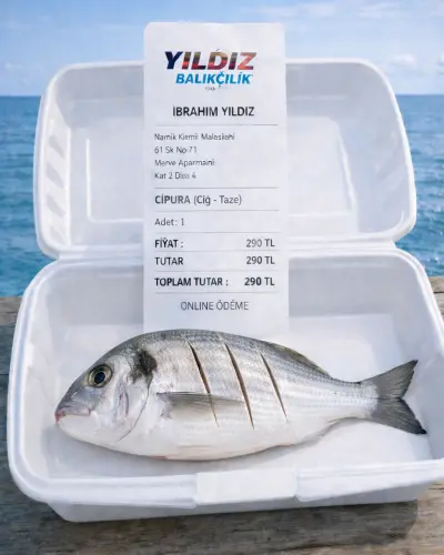 1 ÂDET 400-600 GR ÇİPURA